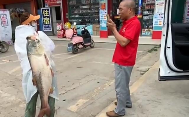 徒步|女钓友收获30斤胖头鱼，扛着它徒步10公里回家，原因让人哭笑不得
