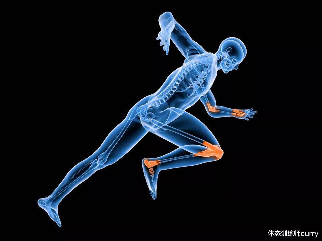 胆固醇|核桃是“血管清道夫”?研究发现:核桃让血管更健康,如何吃才好