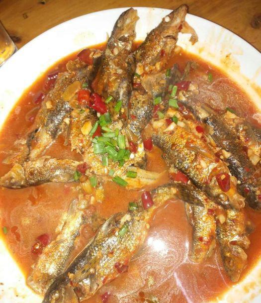 安徽|安徽芜湖:山下小河“花骨鱼”泛滥?钓鱼人:一夜钓了几十条