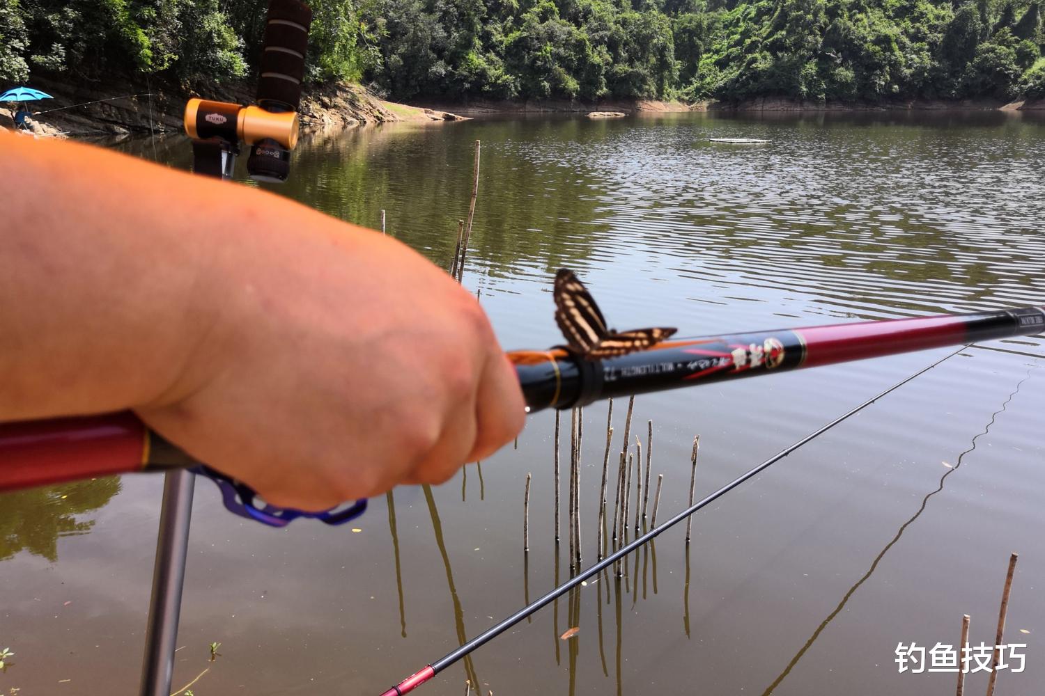 |钓鱼时为什么会爆竿?鱼竿爆竿的几个常见原因