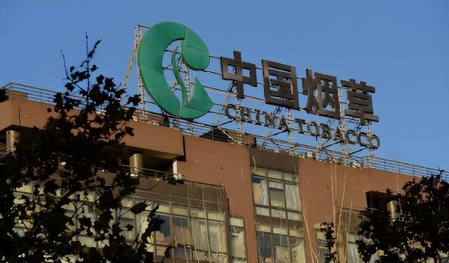 俞飞鸿|笑死,根本比不过!为啥就算没“暗箱”,三无毕业生也进不了烟草