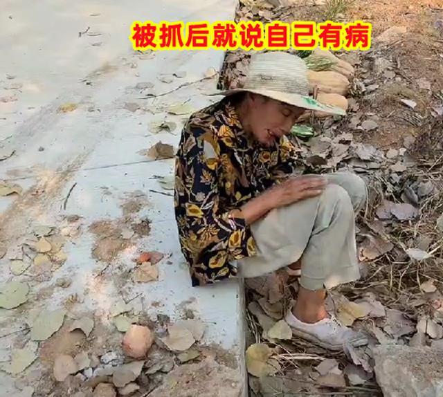 老人组团偷瓜后续:南瓜连夜被砍坏,女主欲哭无泪