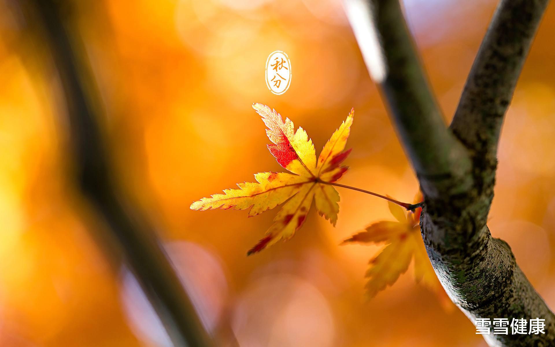 饮食|“春生夏长,秋收冬藏”,秋分养生要牢记3件事,秋冬少生病