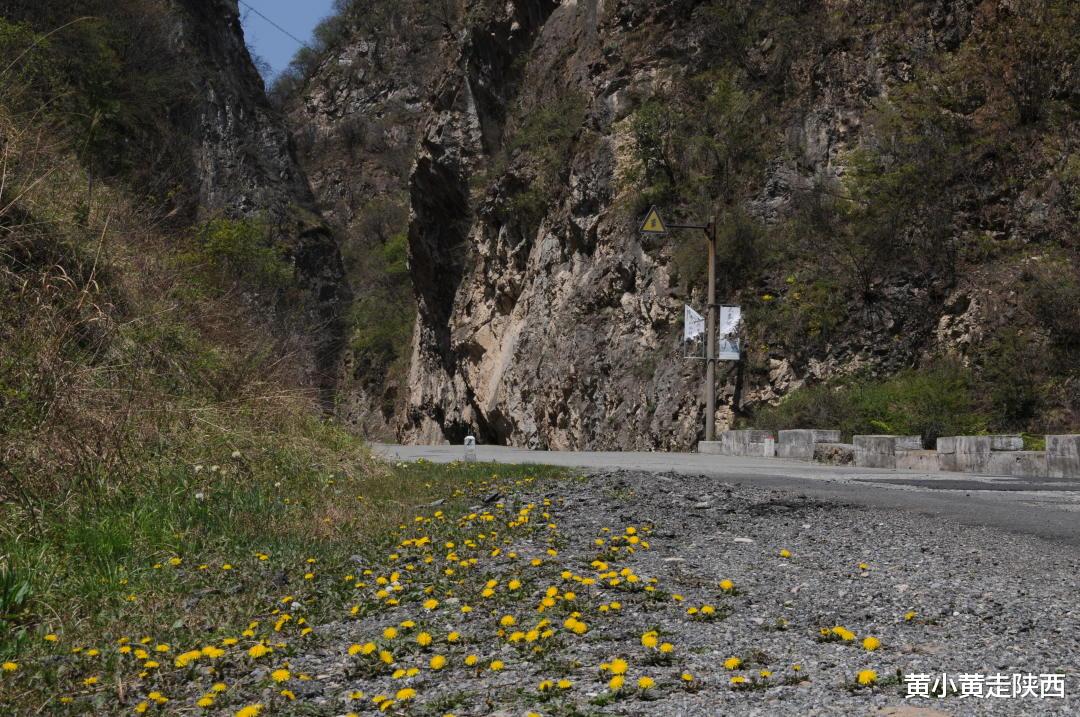 秦岭|秦岭商於古道上的小镇，一路风光旖旎如画，2元美食让人惊艳