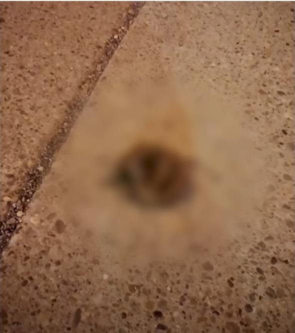 大号|本性难移！艾梅柏遭爆当街「上大号」画面曝光网友全吐了