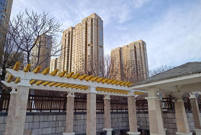 手机中的SUV最适合户外的旗舰摩托罗拉X40评测