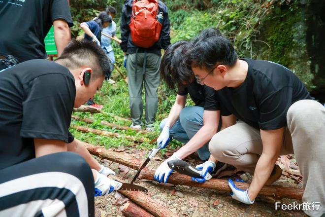 高峰|不是黄山！不是宏村！这个皖南小众秘境太惊喜，仿佛闯入绿野仙踪