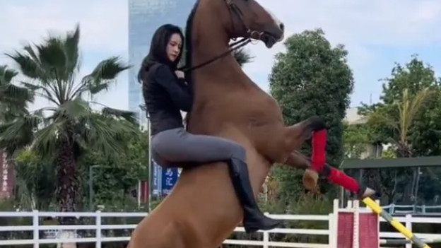 云南女孩“马术”精湛过人，驾驭各种战马，网友：骑马界的天花板！