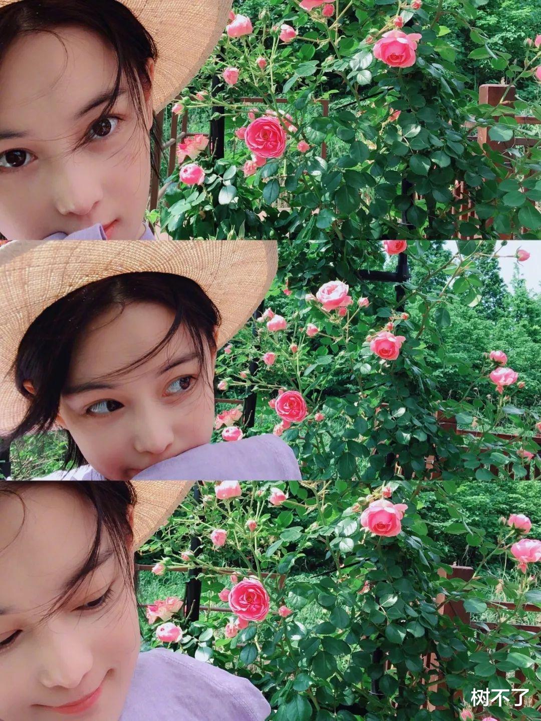 张馨予|离开李晨8年后，她凭借4000万后花园再度翻红：我再也不羡慕李子柒了！