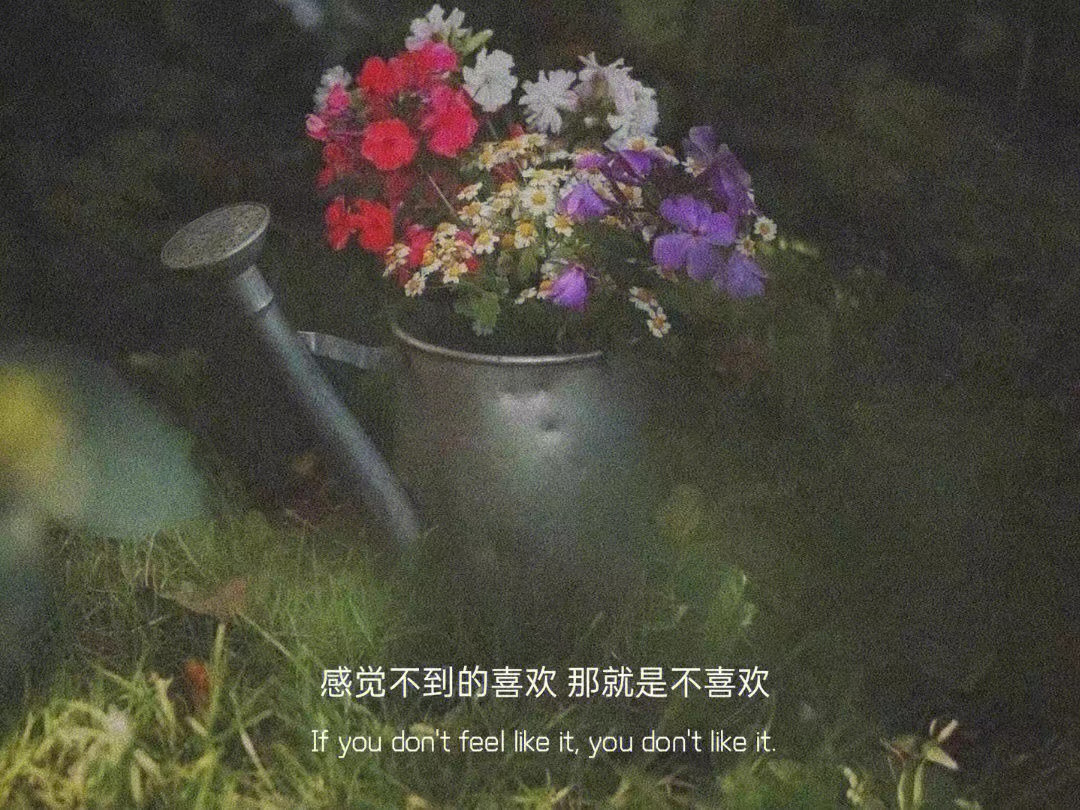 iPhone14|文案|提醒自己要保持清醒的文案