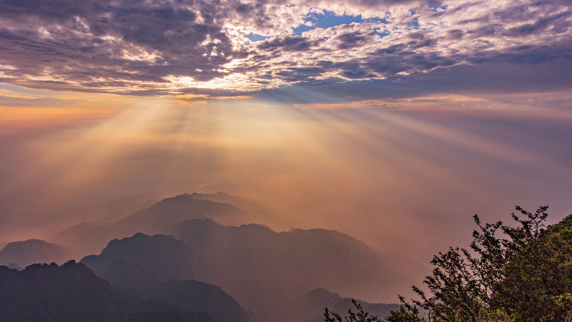 大学|别迎合,学会说不。