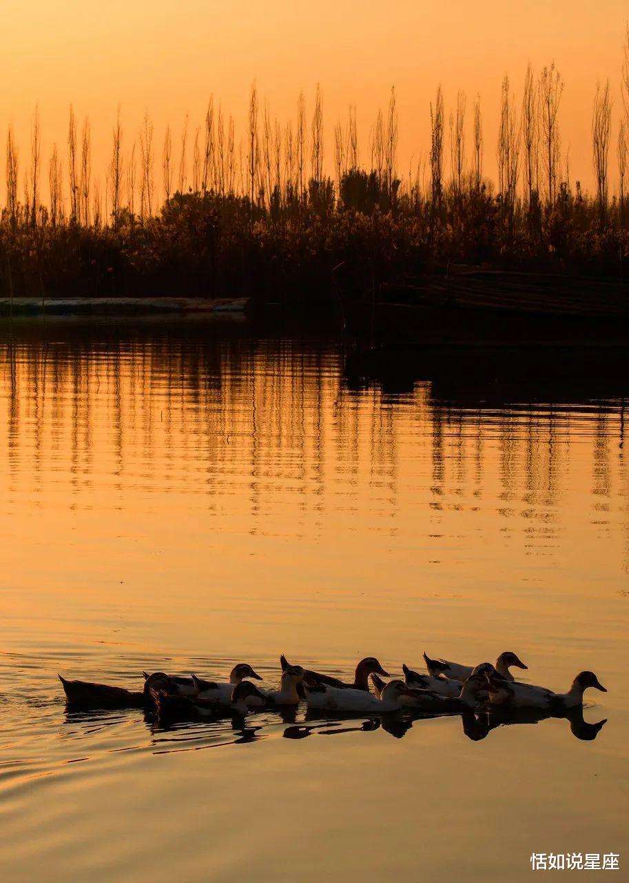 胡杨林|中国最贵的景区,一张门票3500元,外国人进去要交30万