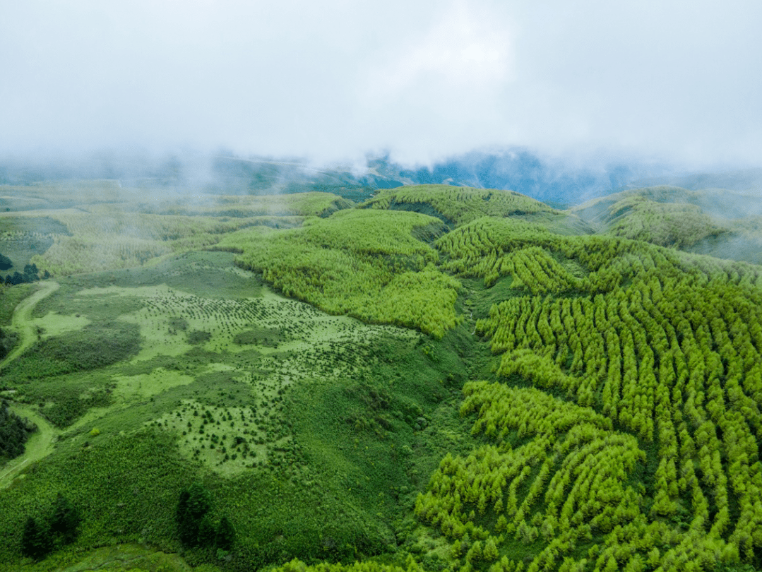 公共服务|畅游清凉20℃越西！火把节旅游攻略必玩三条精品路线，上新啦！