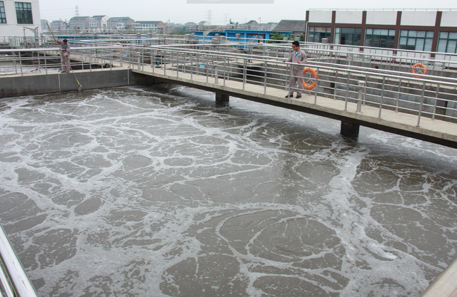 卫生纸该丢马桶还是垃圾桶？好多人都想错了，难怪厕所会那么臭