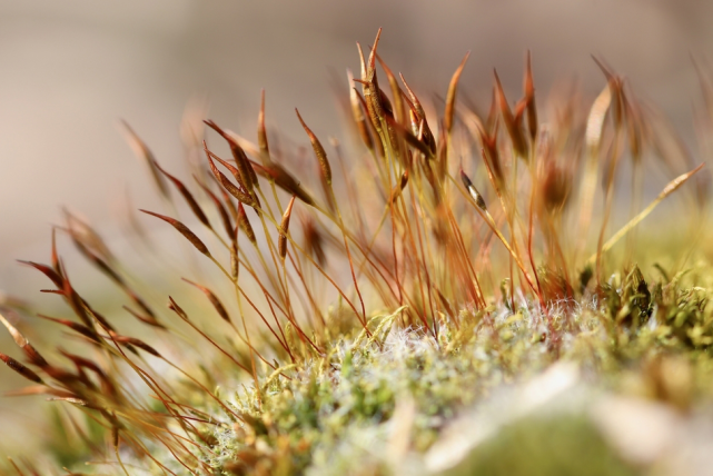 穿衣搭配|十二生肖中，哪些人2022年一切都将转为顺利，人旺财旺，风生水起