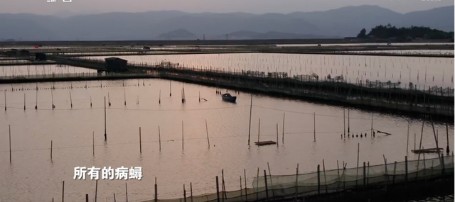 李幼斌|《那山那海》首播，何政军张光北大咖如云，李幼斌缺席是遗憾