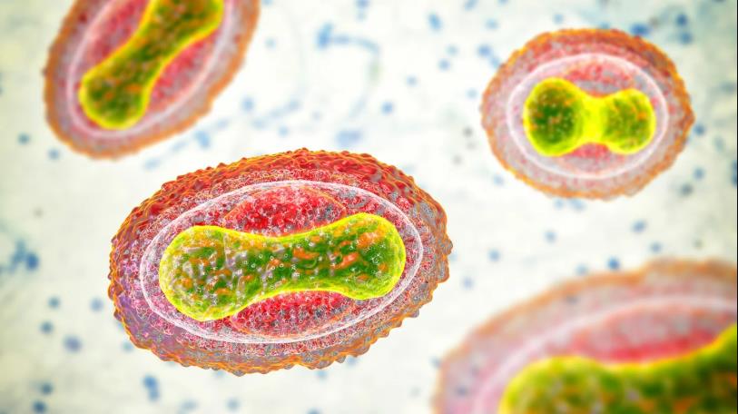 技术的进步让科学家可以从零开始制造DNA，制造危险的生物材料变得更加容易