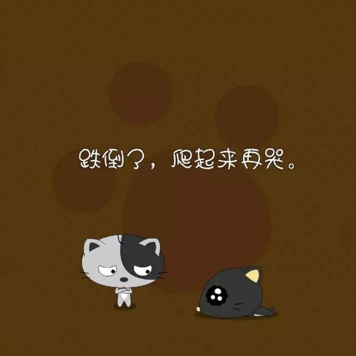 跌倒了，爬起来重新来过。不经风雨怎能见彩虹