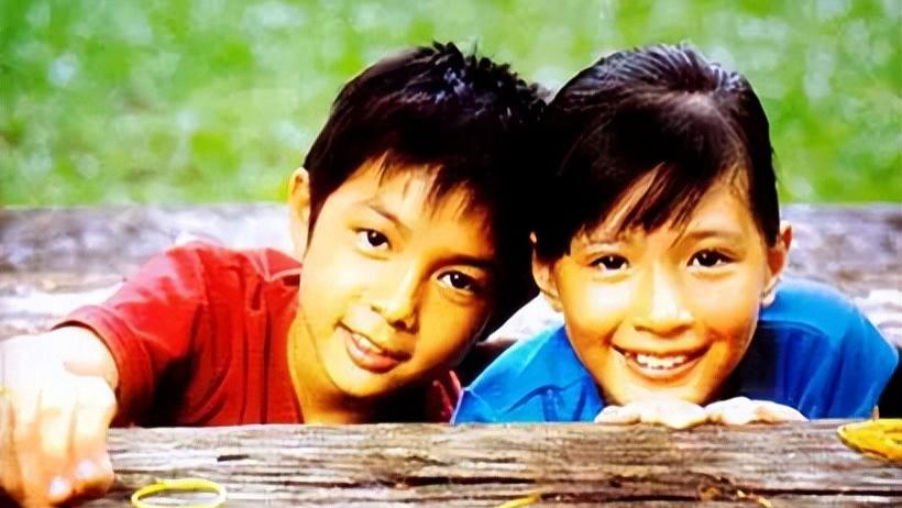 汪小菲|能让你憋着尿直到看完的几部经典冷门电影，每一部都值得深藏