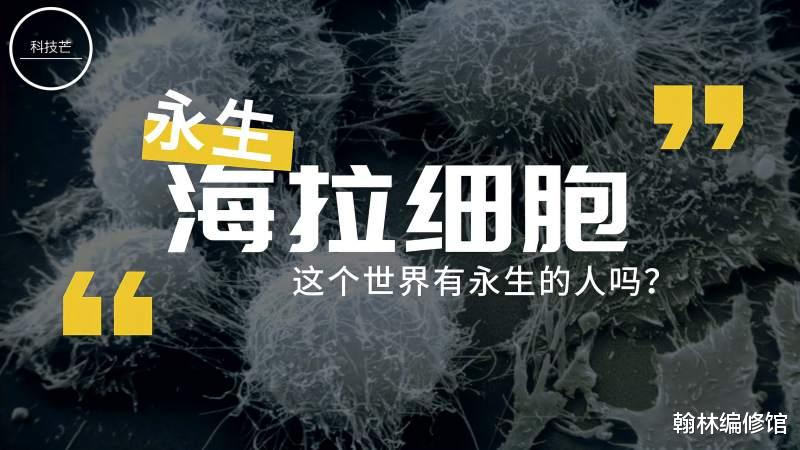 70年前的细胞,为全人类做出了重大贡献