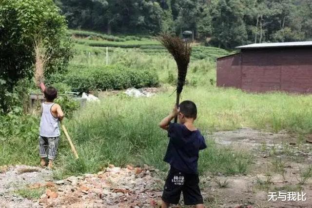 为什么农村现在除了鸟多,像蛇,青蛙,蜻蜓等很多东西都少了?