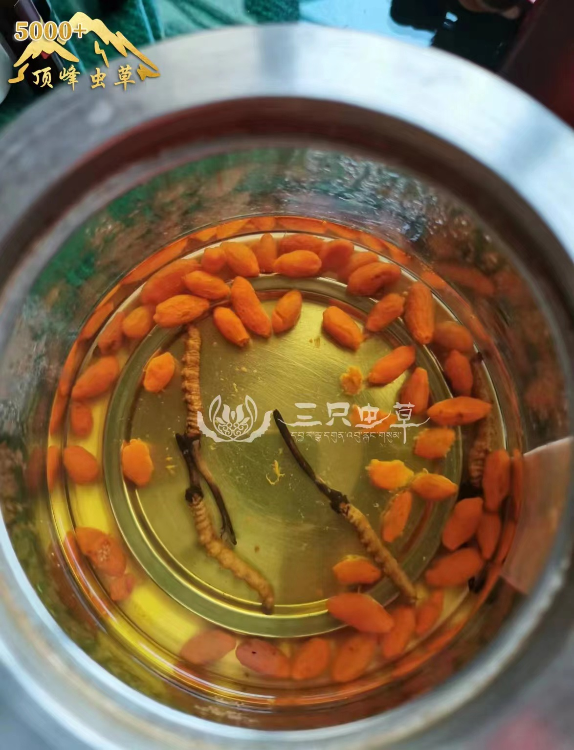 冬虫夏草|心律失常可以吃冬虫夏草吗?冬虫夏草对心律失常的辅助治疗功效