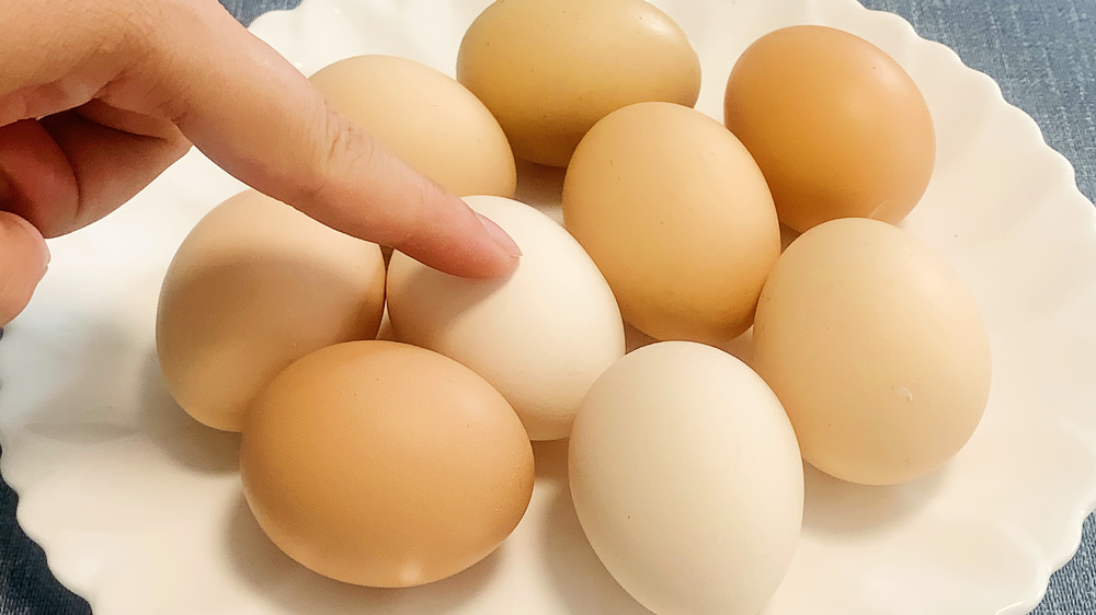“人造蛋”和“鸡生蛋”怎样辨别?教你4个小技巧,认清再买不亏