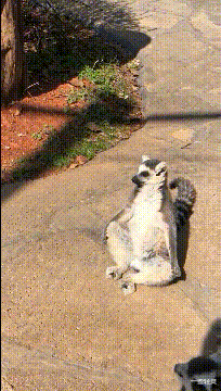 |老婆打疫苗非要穿露肩连衣裙,戴着口罩就不怕丢脸了吗?