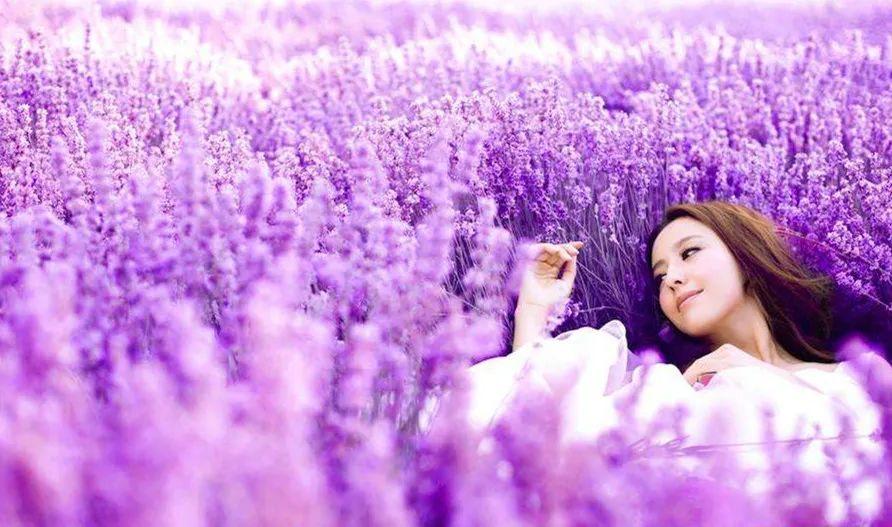 广东省|没有来过这5个地方，就不算到过伊犁