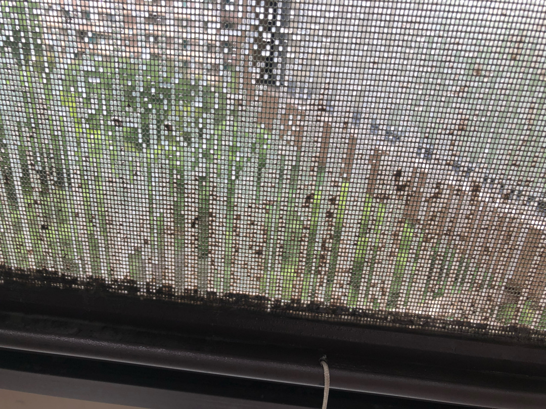 日子过久了才发现：这3样家居物品真的买对了，用完幸福感满满