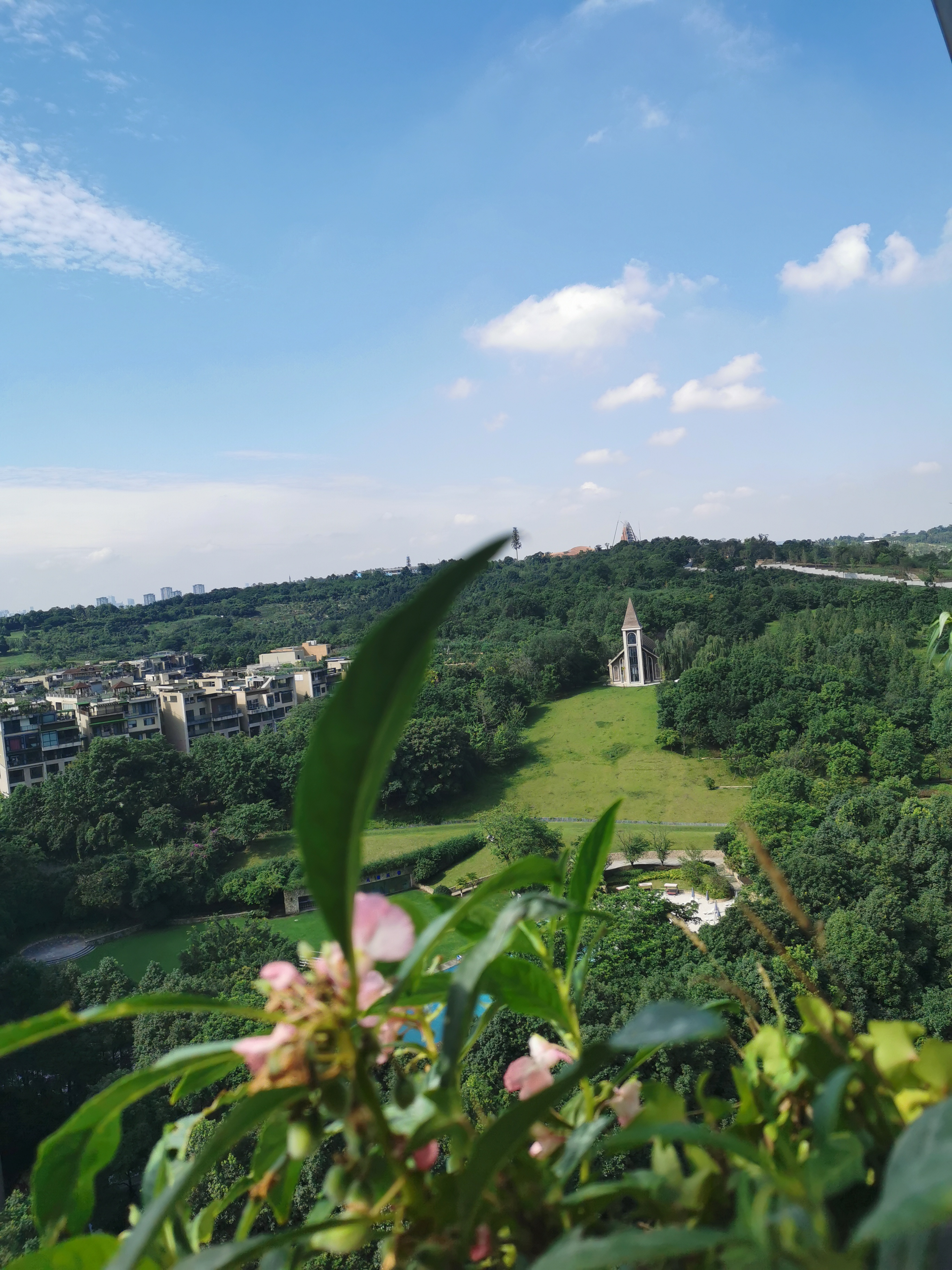 又要说BYEL了,阳台上的诗与远方!