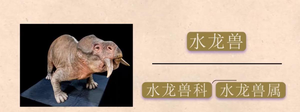 刚挖的水池时间久了,为何就会长出鱼?或与生命起源有直接关系
