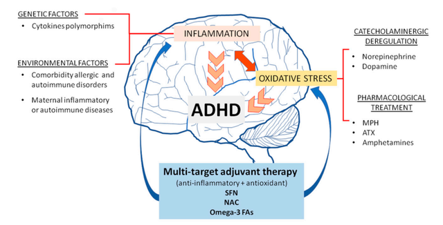 氢气改善注意力缺陷多动障碍(ADHD)原理和疗效分析