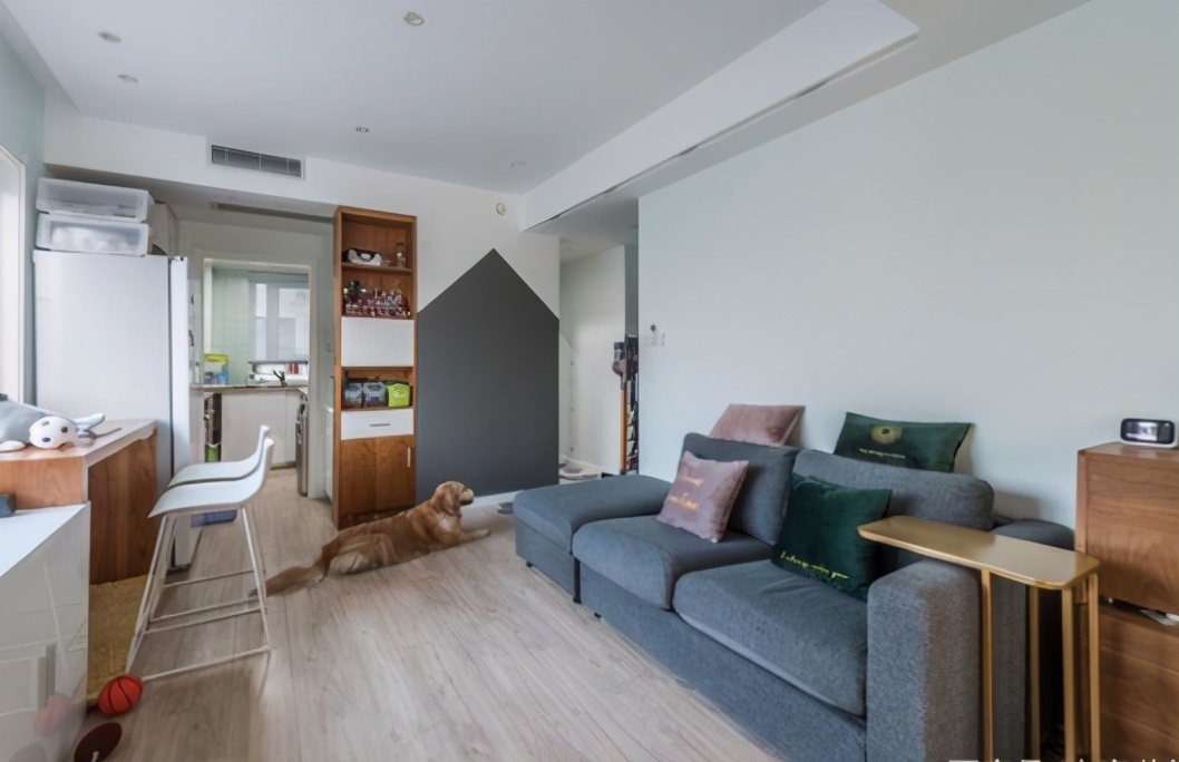 38平米的小家,客厅餐厅衣帽间卧室一个不少,一人一汪住超舒服