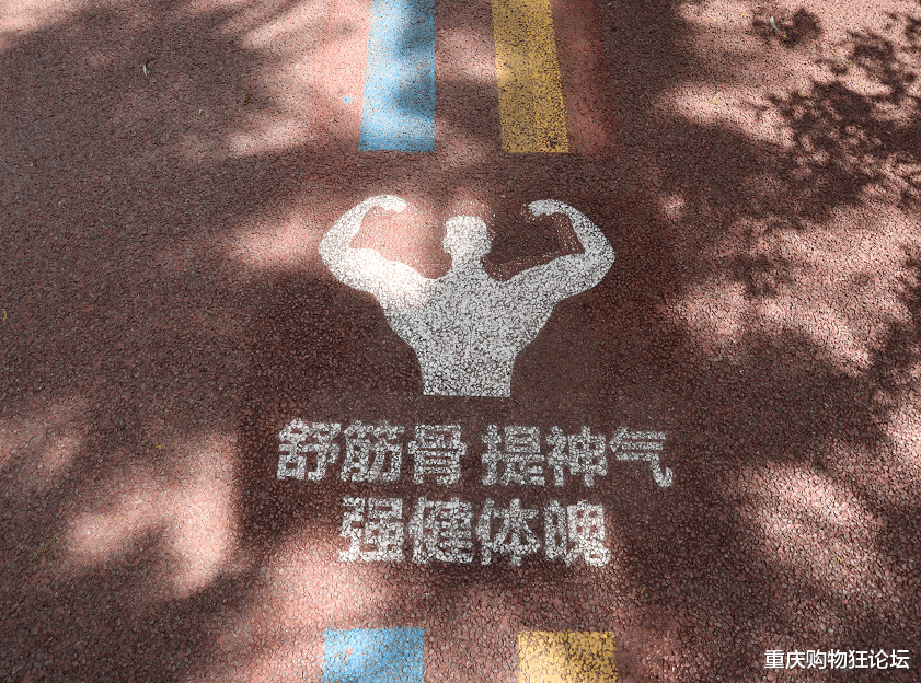 荷花|南岸藏着大片免费赏荷地，还有白鹭、儿童乐园…