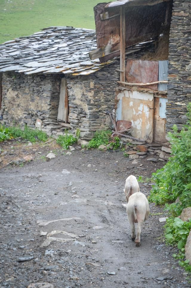 天生丽质|这个地方建起了处处碉楼，居住、掺望、抵御、避难，一塔多用