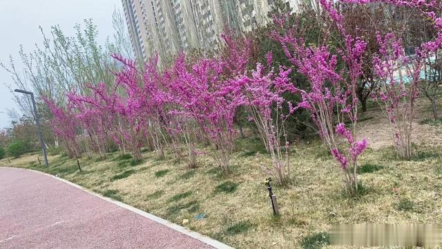 天猫|从互联网大厂返乡的年轻人：曾想过赚几年快钱，辞职后发现自己重回少年，再也不想996