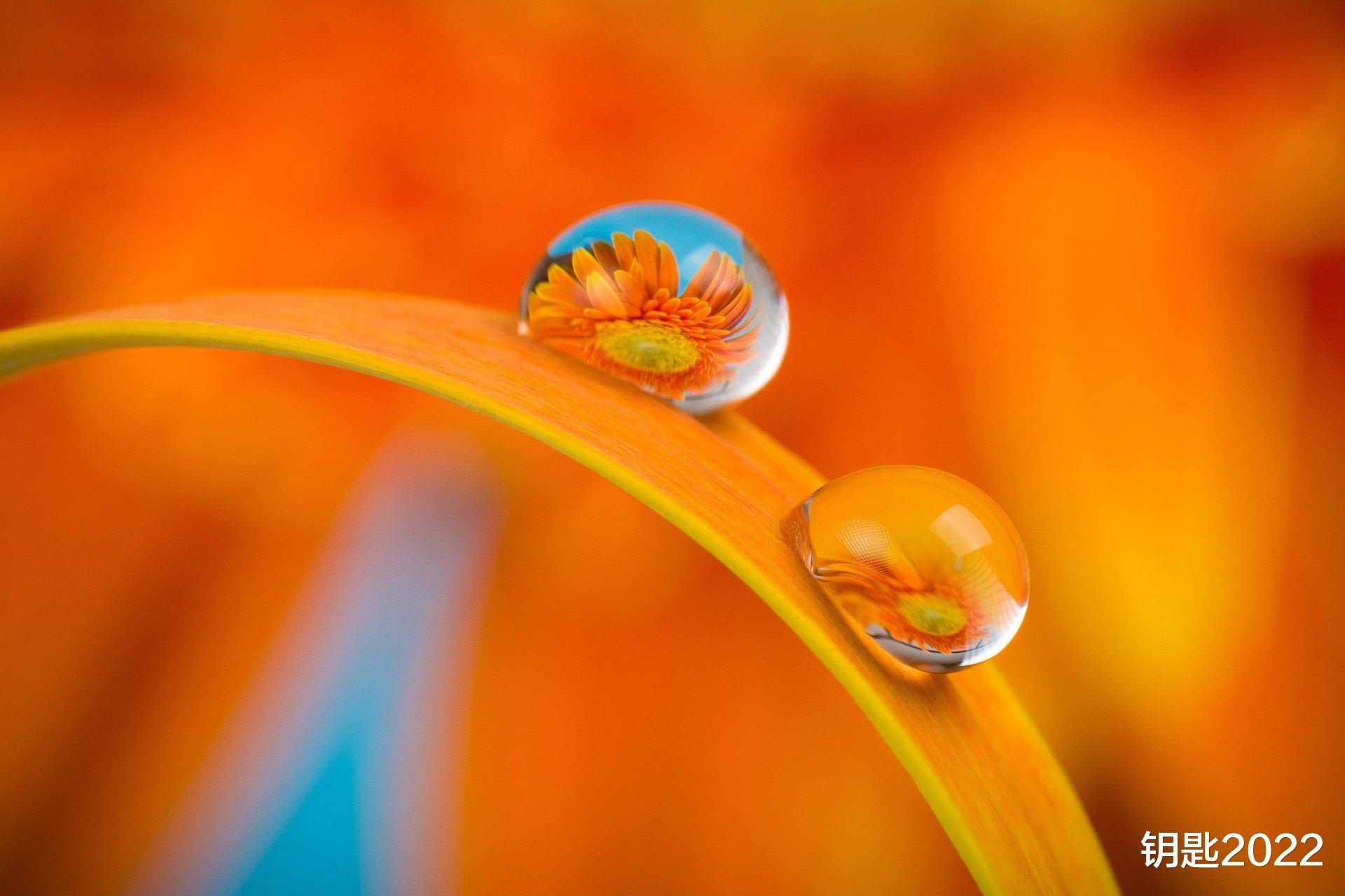 催收|未来，AI是否会代替人工催收？