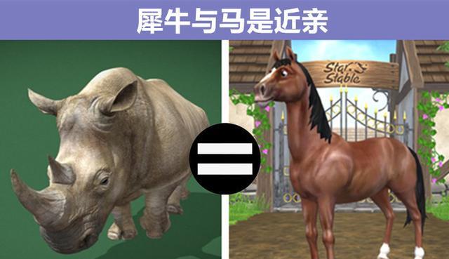 海豚也有自己的名字?细数:与动物有关的9个奇妙的冷知识
