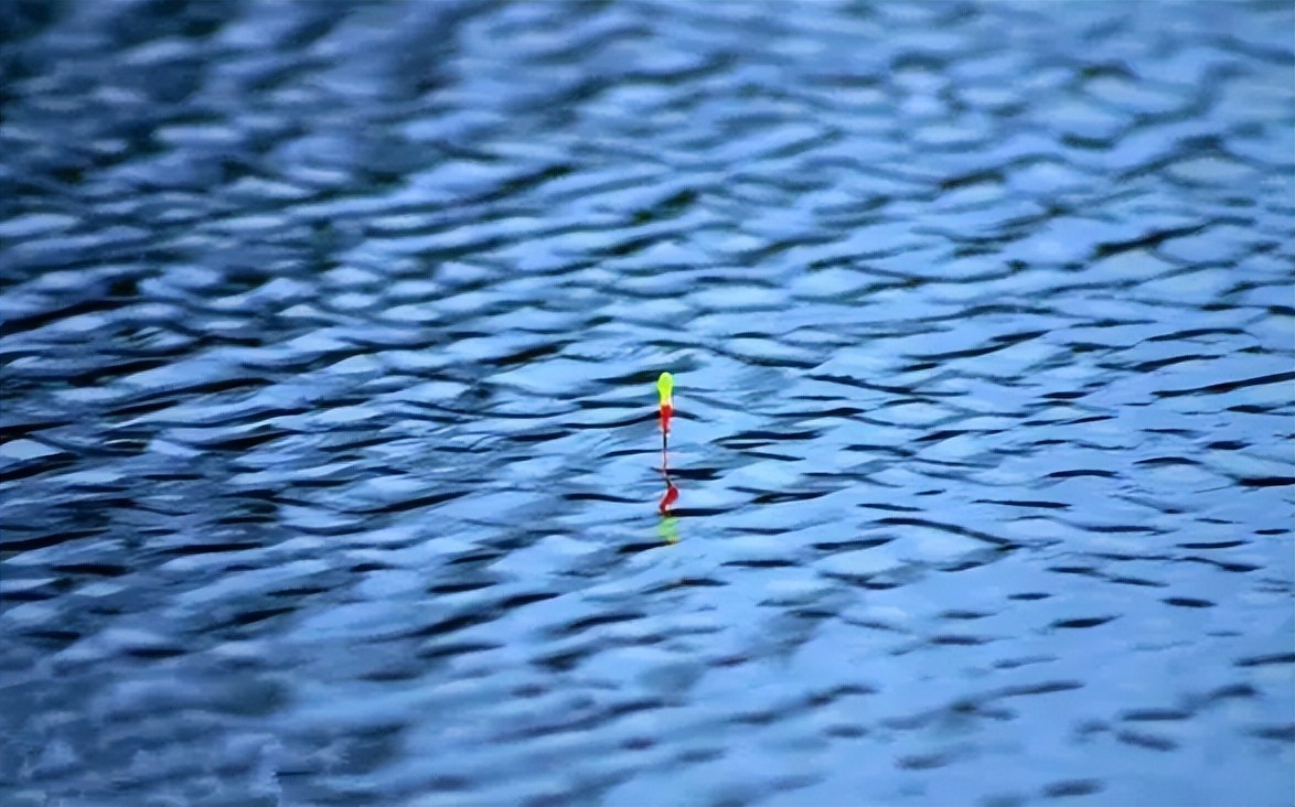 饵料|夏季野钓鱼少口慢?别着急,试试这“3招”,鱼获翻倍不是事