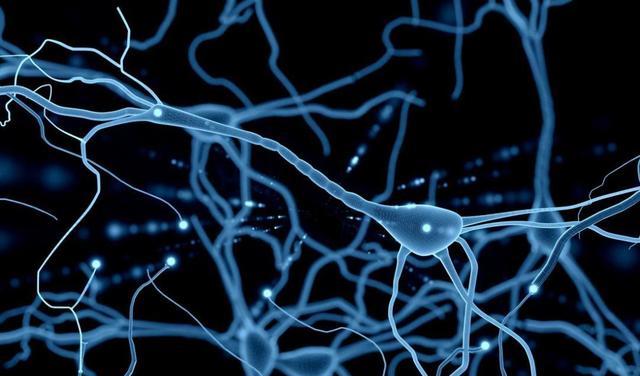 科学家将人脑细胞植入老鼠大脑,竟完美融合,老鼠也更聪明了