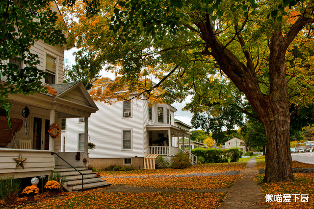 老话说:“秋吃5宝,身体倍棒”,“5宝”具体指啥?咋做好吃?