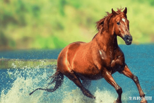 属马|吉星降临好运到,努力向前抓住机遇,属马人职场逆袭一飞冲天