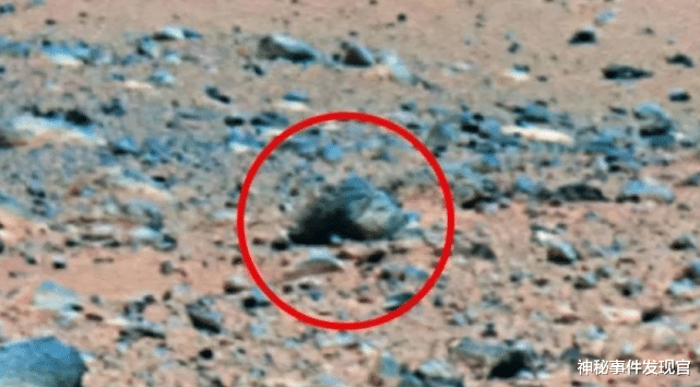 火星探测车再次传回新照片，存在生命的证据妥了！？