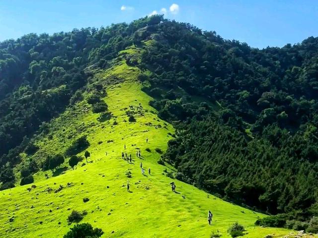 沈阳|沈阳还有一个“小瑞士”？完全免费，户外登山，又多了一个好去处