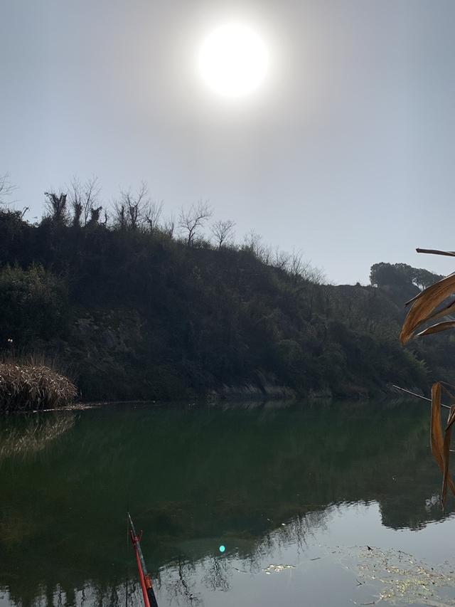 |鱼情泛滥，一不小心钓了三个大头鱼，请问该怎么吃？