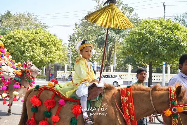 民族|缅甸街头偶遇民族风情，其实磅礴牛车巡游，充满喜庆