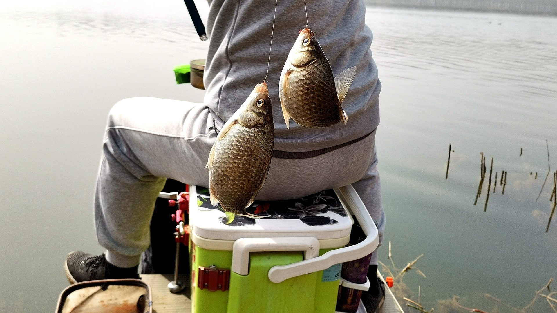 灵敏度|冬季钓鱼浮漂用不对，很难钓到鱼，这样正确用漂清晰灵敏中鱼率高