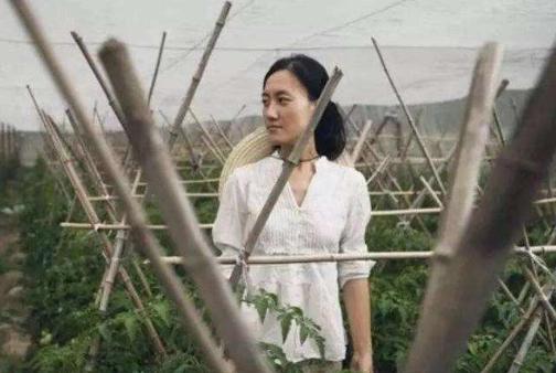 清华女博士隐居山林，种地11年年收入800万，父母已认不出她