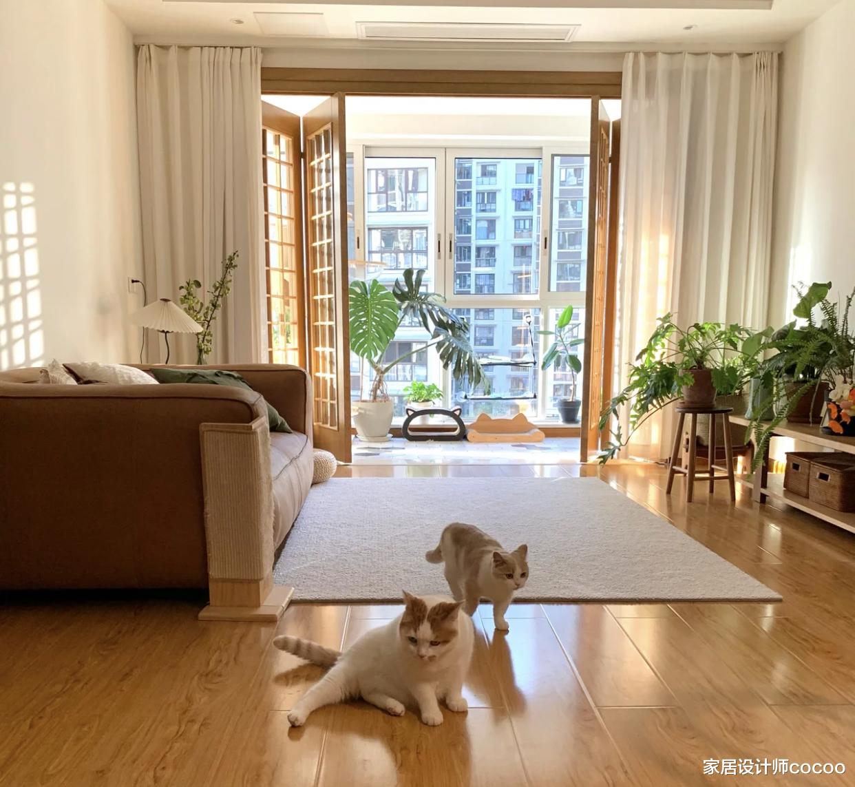 在我放下对茶几的“执念”后,才发现,日子可以爽到飞起